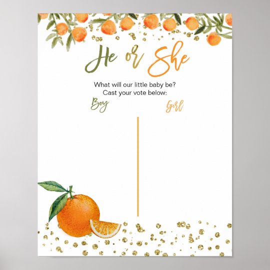 cuties oranges price cuties oranges price