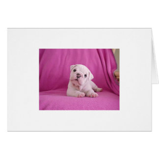 Cutie-Pie! Cards