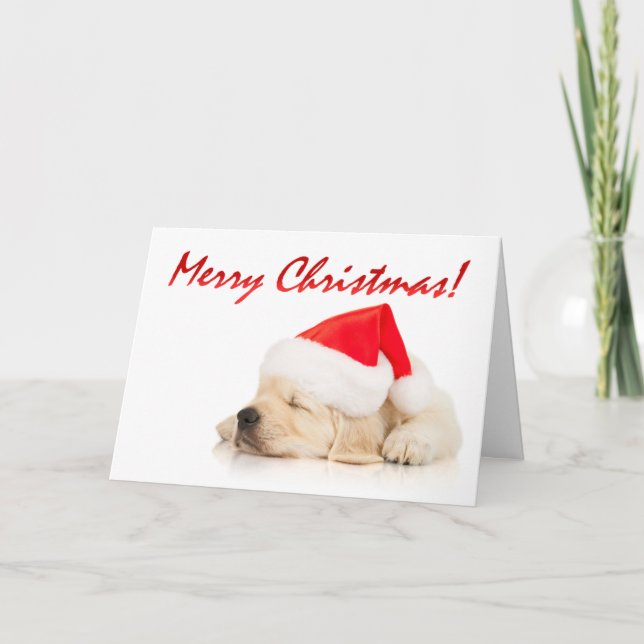 Cutie Pie! Cute Santa Puppy Merry Christmas Holiday Card (Front)