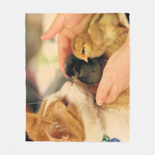 Cuties fleece blanket
