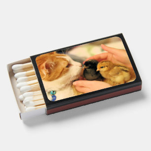 Cuties Matchboxes