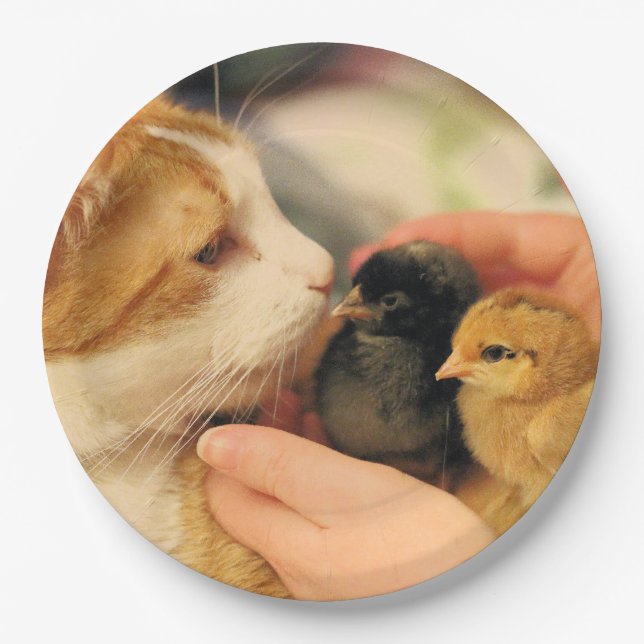 Cuties Paper Plates (Front)