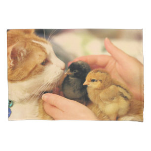 Cuties   pillow case