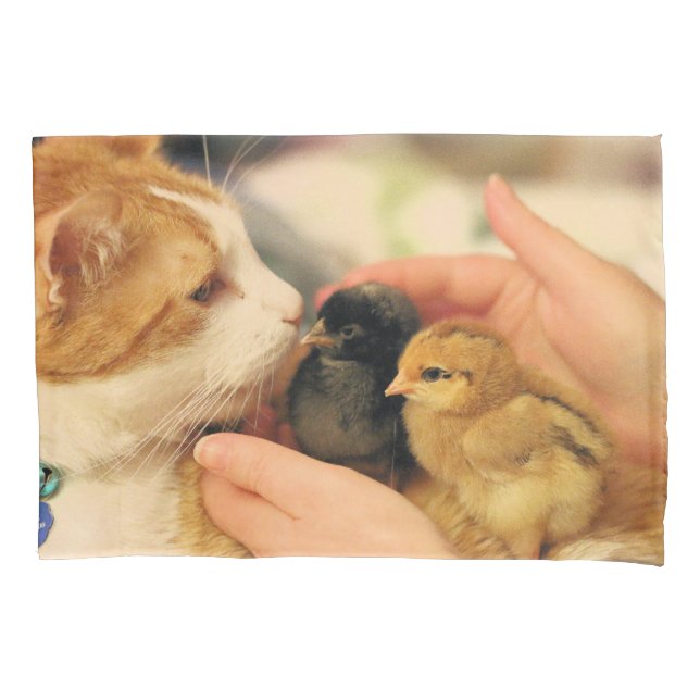 Cuties   pillow case (Front)