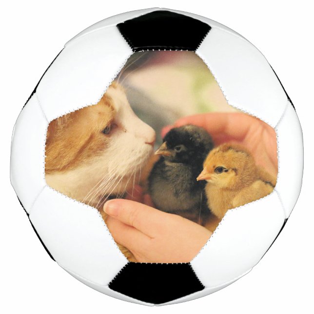 Cuties   soccer ball (Front)