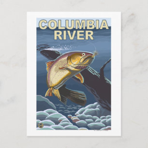 Cutthroat Trout Cross-Section Postcard