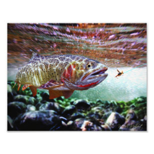 CUTTHROAT TROUT PHOTO PRINT