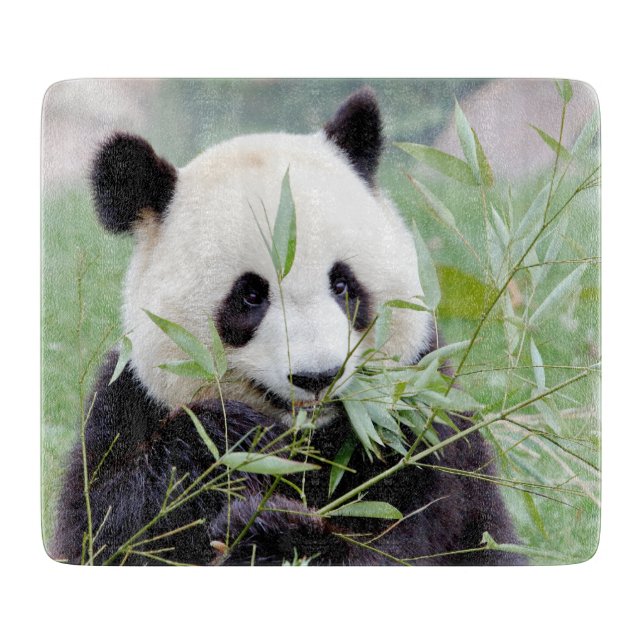 Cutting Board Photo giant panda , animals 0147. (Front)