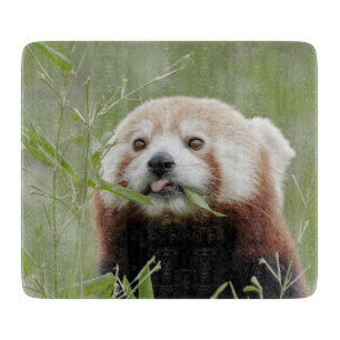 Cutting Board Photo red panda , animals 0216.