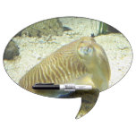 Cuttlefish Dry Erase Board