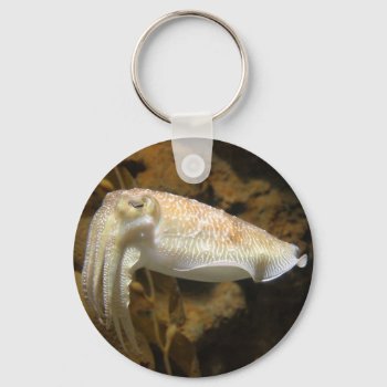 Cuttlefish Keychain by The_Everything_Store at Zazzle