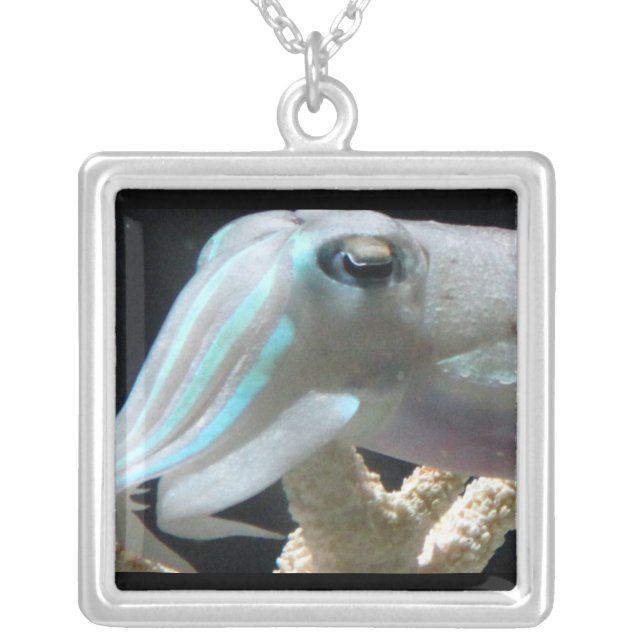 Cuttlefish necklace, square silver plated necklace (Front)