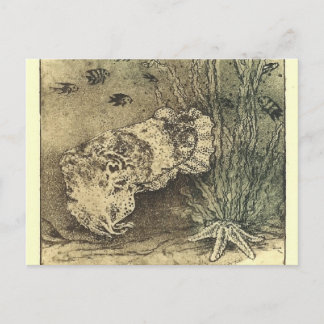 cuttlefish postcard