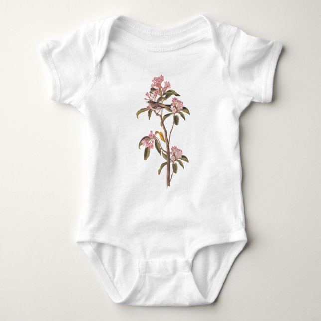 Cuvier's Kinglet Audubon Bird on Pink Flower Baby Bodysuit (Front)