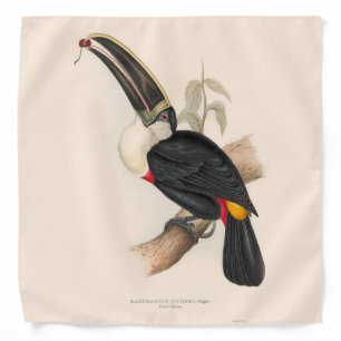 Cuviers Toucan Print: Vintage Tropical Bird Bandana
