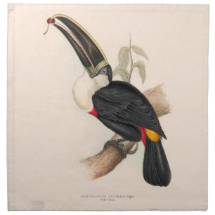 Cuviers Toucan Print: Vintage Tropical Bird Cloth Napkin
