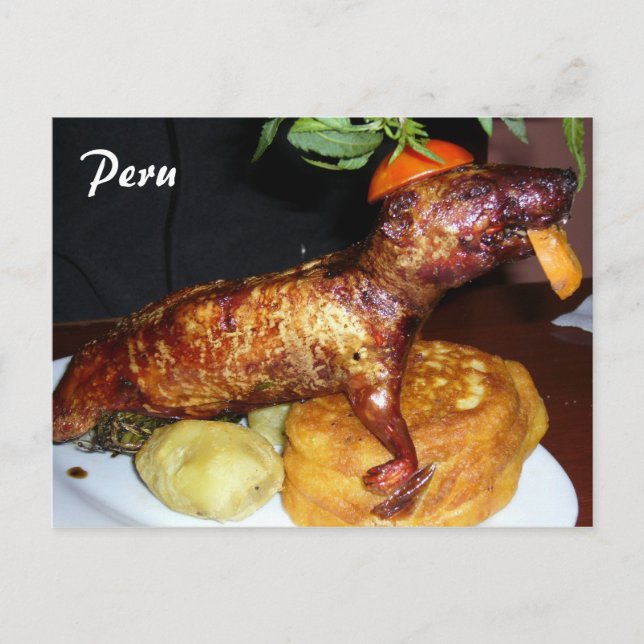 cuy postcard (Front)