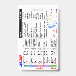 CVICU SICU ICU Badge Buddy