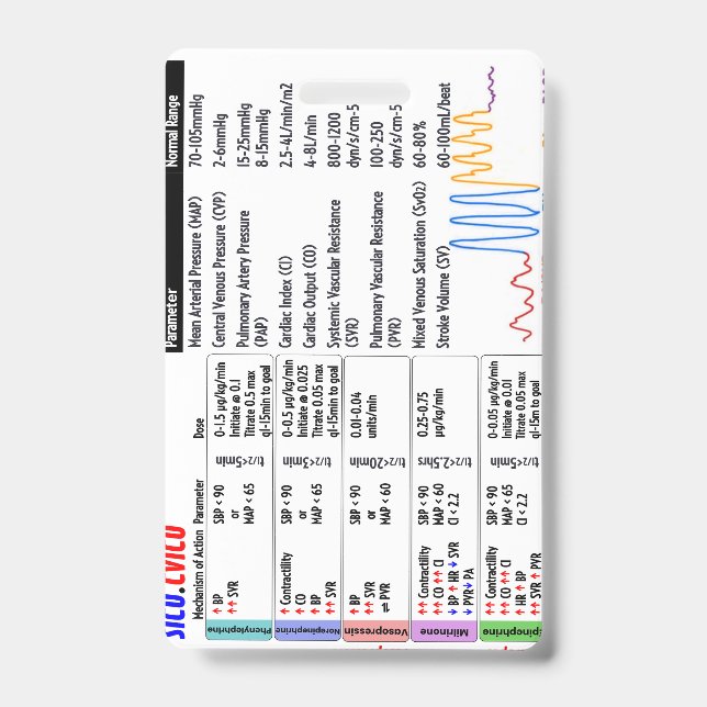 CVICU SICU ICU Badge Buddy (Front)