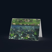 Cwm River Card