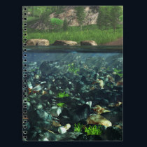 Cwm River Notebook