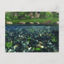 Cwm River Postcard