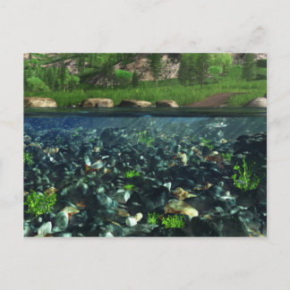 Cwm River Postcard