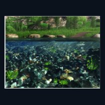 Cwm River Postcard