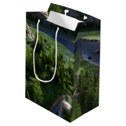 Cwm Solitude Gift Bag