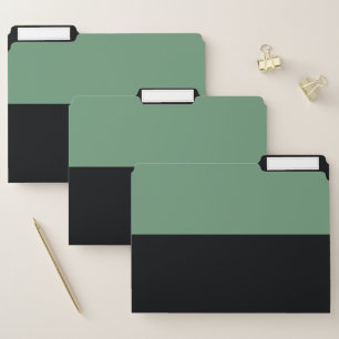 Cyan Green and Black Simple Extra Wide Stripes File Folder