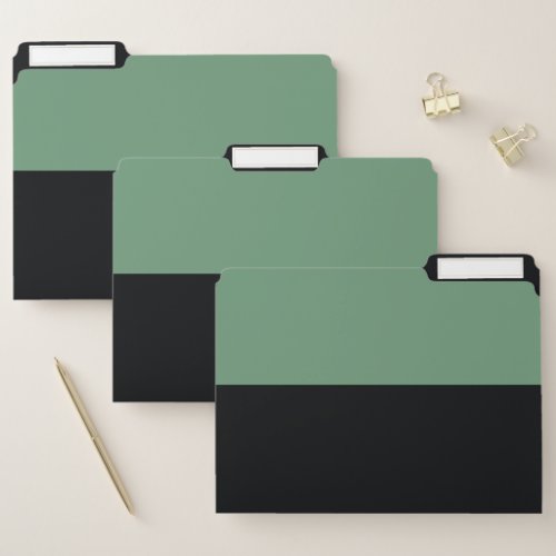 Cyan Green and Black Simple Extra Wide Stripes File Folder
