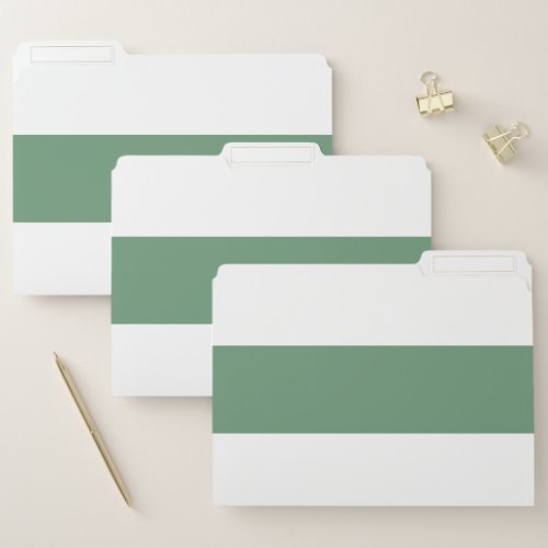 Cyan Green and White Simple Extra Wide Stripes File Folder