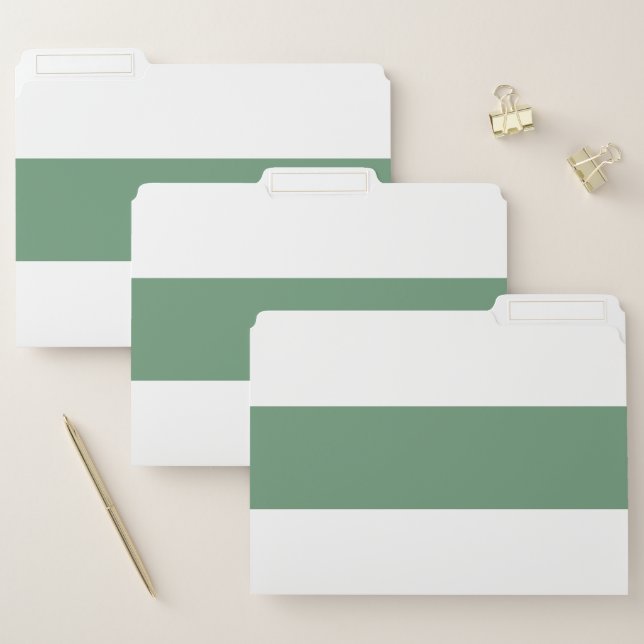 Cyan Green and White Simple Extra Wide Stripes File Folder (Set)