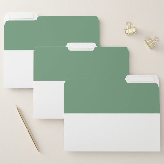 Cyan Green and White Simple Extra Wide Stripes File Folder (Set)