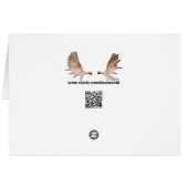 Cyanotic Salmon Bar & Grill Cards (Back Horizontal)