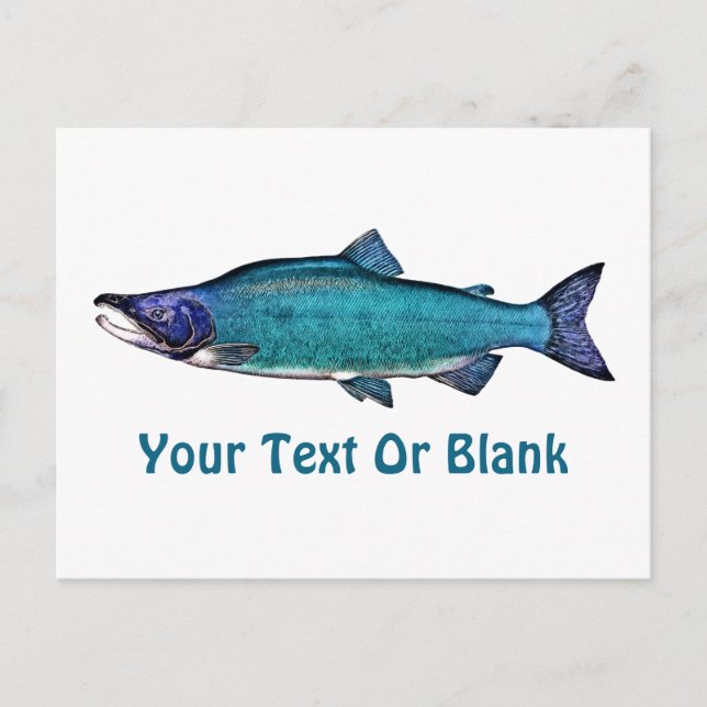 Cyanotic Salmon Postcard (Front)