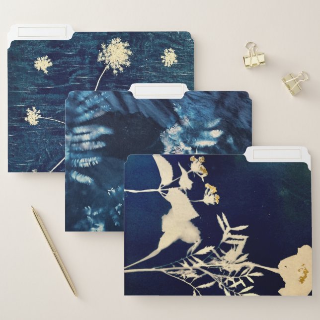 Cyanotype File Folder Set (Set)
