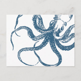 Cyanotype octopus postcard