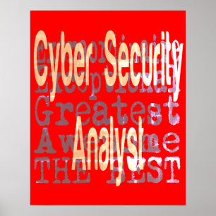 Cyber Security Analyst Extraordinaire Poster