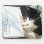 Cyberkitten Mouse Pad at Zazzle