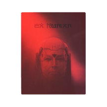 Cyborg Humanoid
