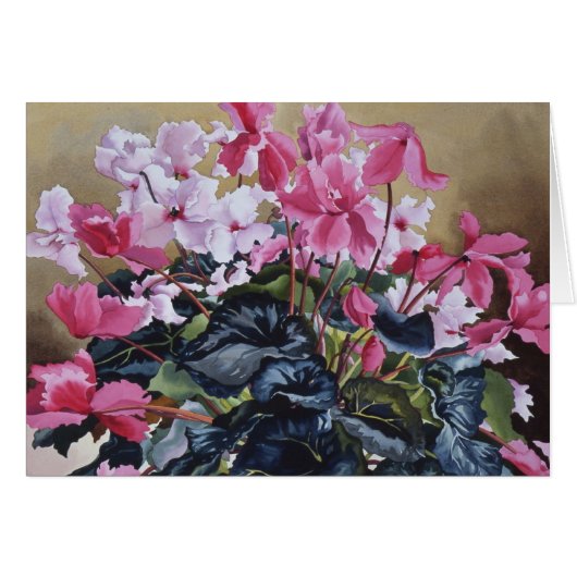 Cyclamen 2004 cards (Front Horizontal)