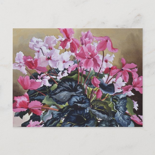 Cyclamen 2004 postcard (Front)