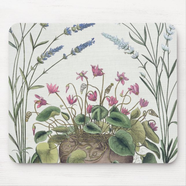 Cyclamen and Lavender: 1.Cyclamen Romanum; 2.Spica Mouse Pad (Front)
