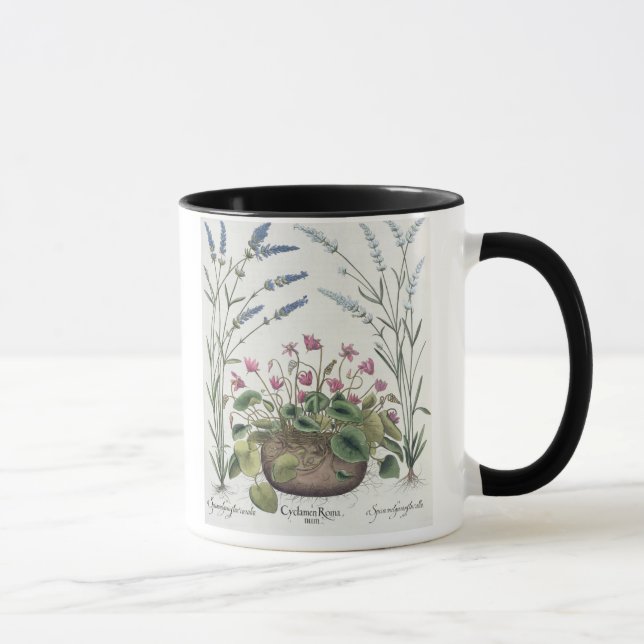 Cyclamen and Lavender: 1.Cyclamen Romanum; 2.Spica Mug (Right)