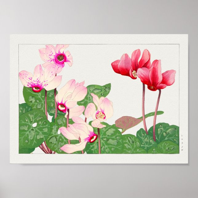 Cyclamen by Tanigami Konan Poster (Front)