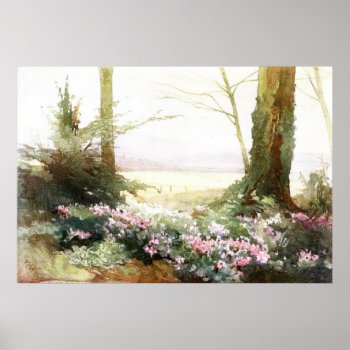 Cyclamen Coum Poster by Garden_Miester at Zazzle