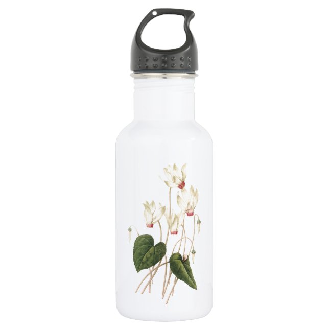 cyclamen(Cyclamen sp.) by Redouté Stainless Steel Water Bottle (Front)