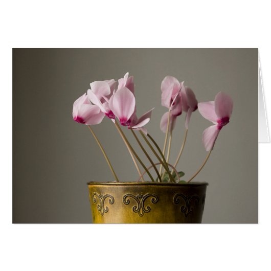 Cyclamen Plant Cards (Front Horizontal)