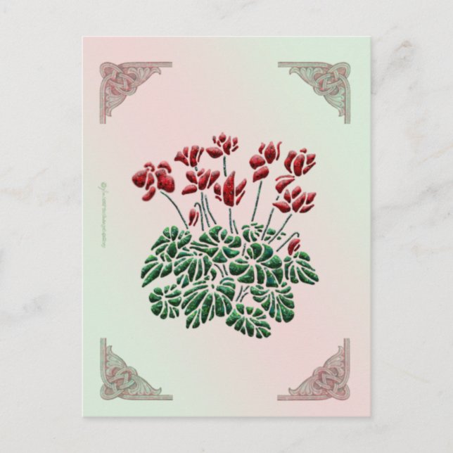 Cyclamen Postcard (Front)